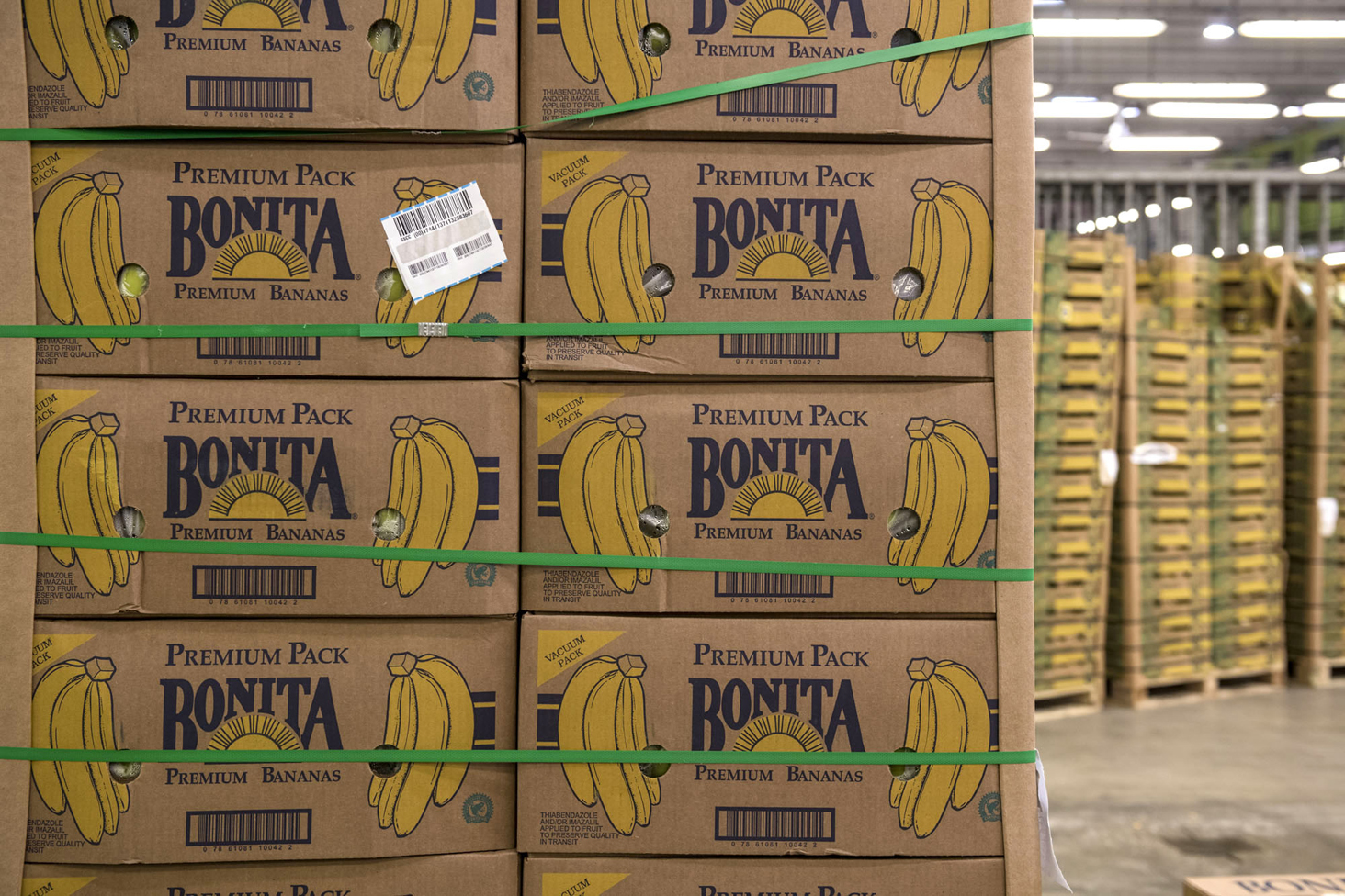 Casse di banane di importazione